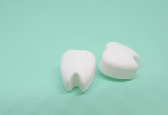 二つの歯の模型